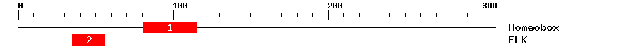 Signature Domain