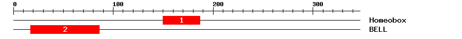 Signature Domain