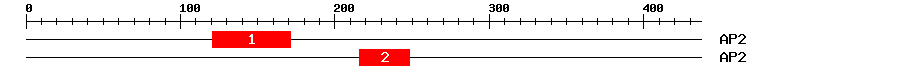 Signature Domain