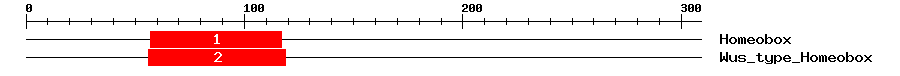 Signature Domain