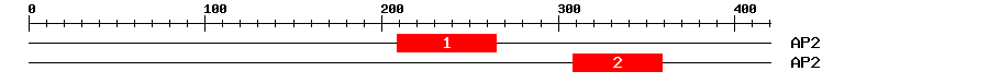 Signature Domain