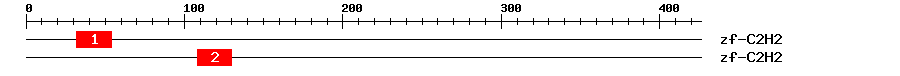 Signature Domain