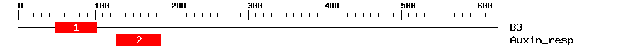 Signature Domain