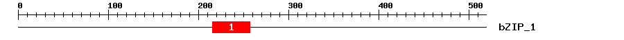 Signature Domain