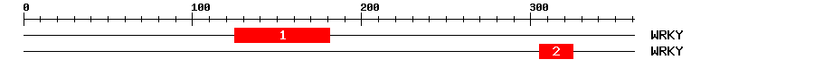 Signature Domain