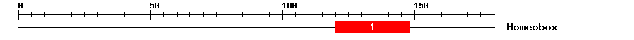 Signature Domain