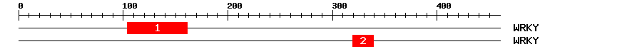Signature Domain