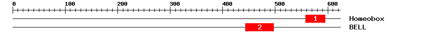 Signature Domain