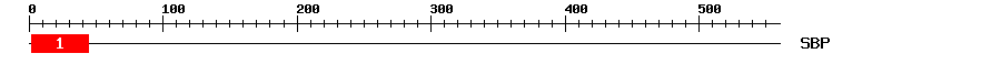 Signature Domain