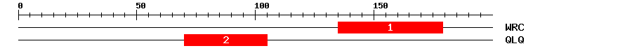 Signature Domain