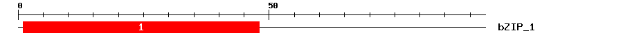 Signature Domain