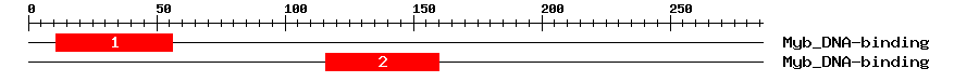 Signature Domain