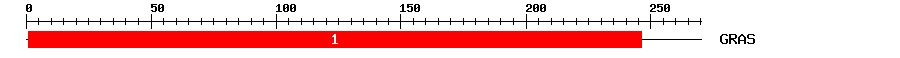 Signature Domain