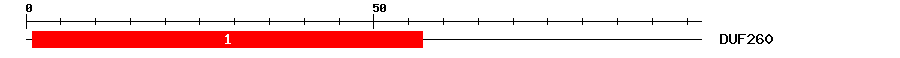 Signature Domain