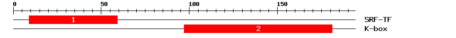 Signature Domain