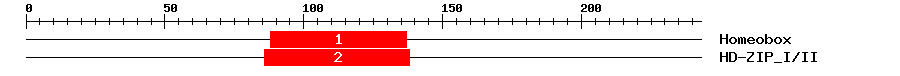 Signature Domain