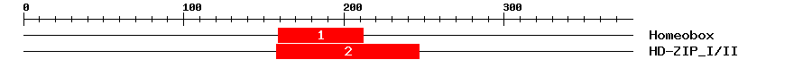 Signature Domain