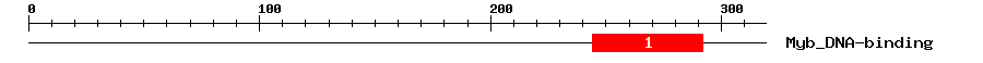 Signature Domain