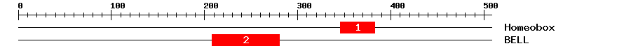 Signature Domain
