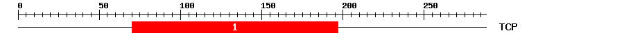 Signature Domain