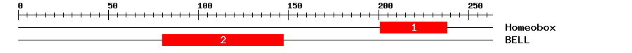 Signature Domain