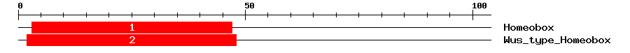 Signature Domain