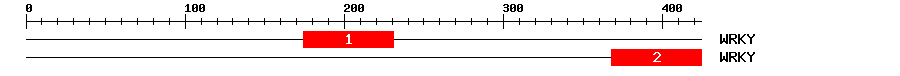 Signature Domain