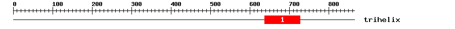 Signature Domain