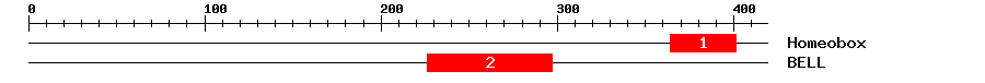 Signature Domain