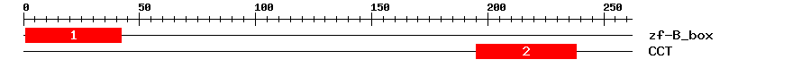 Signature Domain