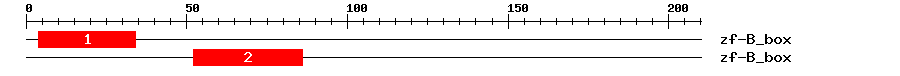 Signature Domain
