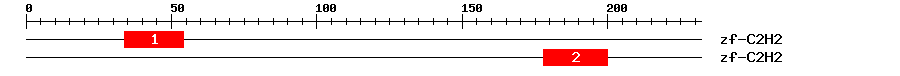 Signature Domain