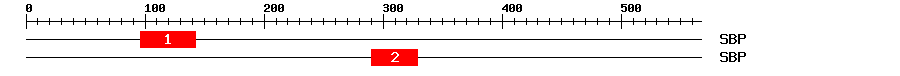 Signature Domain