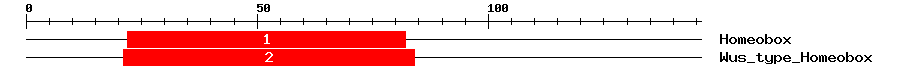 Signature Domain