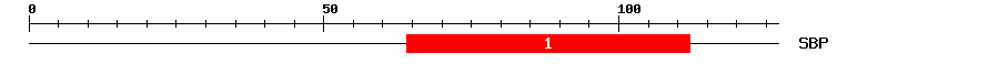 Signature Domain