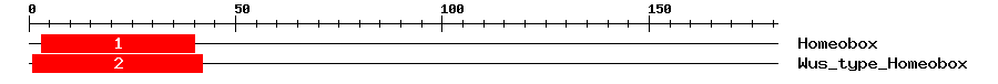 Signature Domain