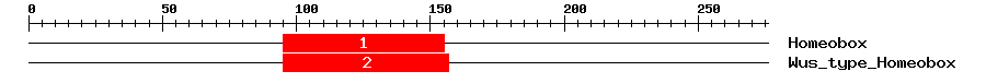 Signature Domain