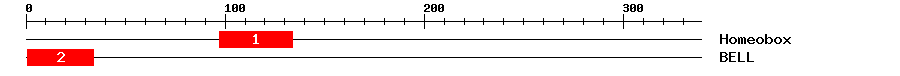 Signature Domain