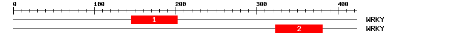 Signature Domain
