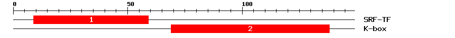 Signature Domain