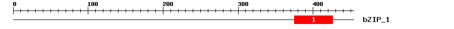 Signature Domain