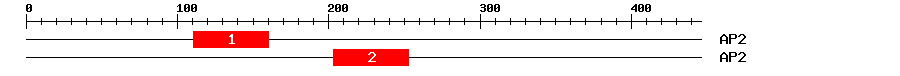 Signature Domain