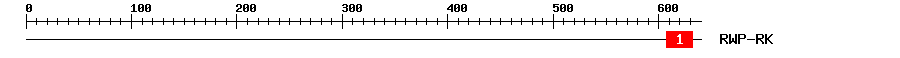 Signature Domain