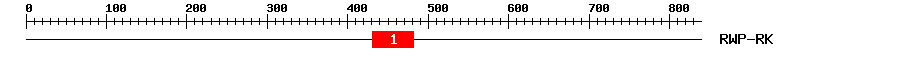 Signature Domain