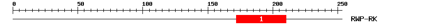 Signature Domain
