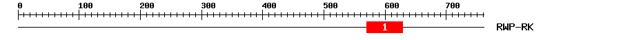 Signature Domain