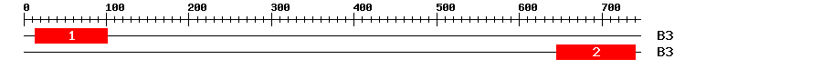 Signature Domain