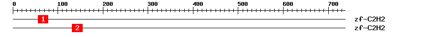 Signature Domain