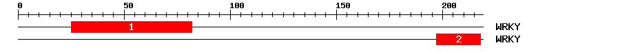 Signature Domain
