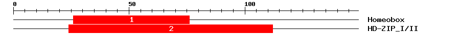 Signature Domain